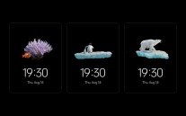 Oppo ColorOS 13 features