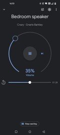 Google Home settings