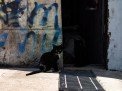 Camera samples from the Xiaomi 12S Ultra concept device (12MP)