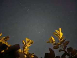Night mode sample from the Galaxy S23 Ultra, source: Edwards Urbina on Twitter